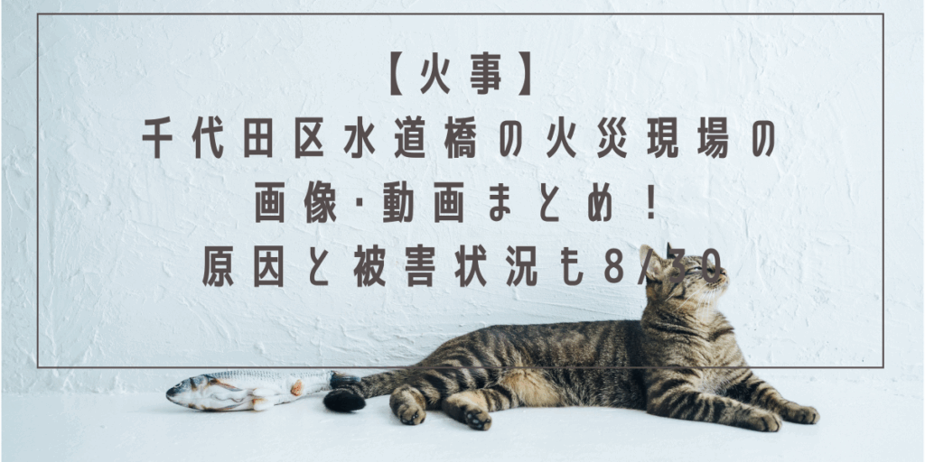 【火事】千代田区水道橋の火災現場の画像･動画まとめ！原因と被害状況も8/30
